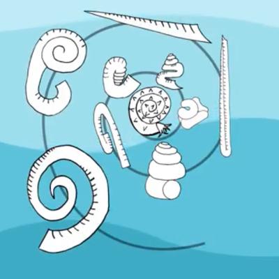 62. 「異常巻きアンモナイト」って異常なの？