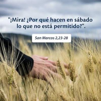 Evangelio del Martes 20 de Enero. Marcos 2,23-28. Evangelio del Martes 20 de Enero. Marcos 2,23-28.