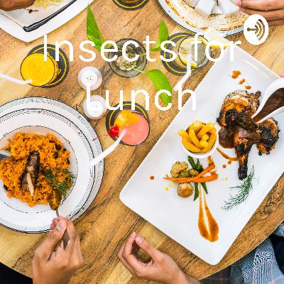 Insects for Lunch