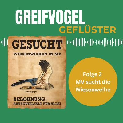 Gefährdete Wiesenweihen – Interview über das Artenschutzprojekt in MV