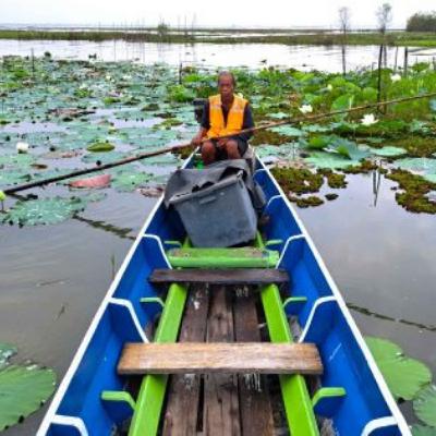 Thale Noi: Where Water Meets Wildlife in Southern Thailand