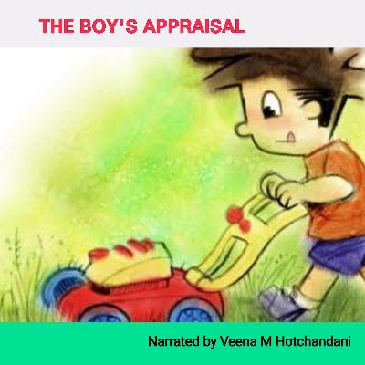 THE BOY'S APPRAISAL THE BOY'S APPRAISAL