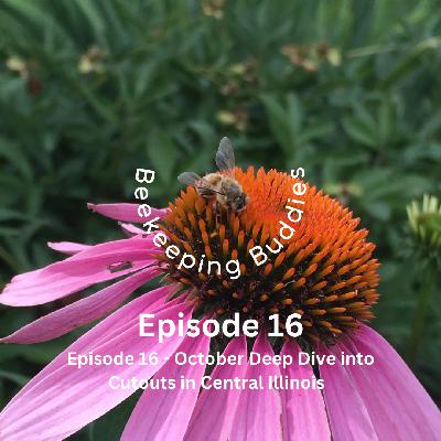 Episode 16 - October Deep Dive into Cutouts in Central Illinois