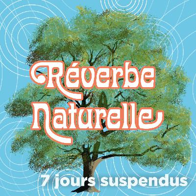 7 jours suspendus : une performance artistique à la rencontre d'un arbre, avec Ronan Moinet