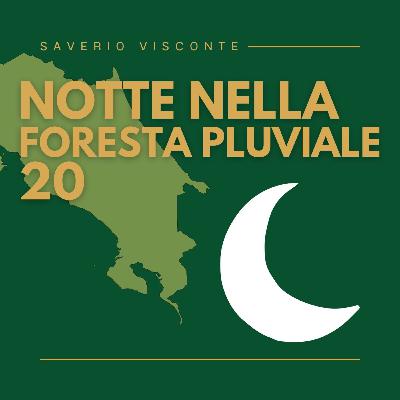 20 - Notte nella Foresta Pluviale 20 - Notte nella Foresta Pluviale