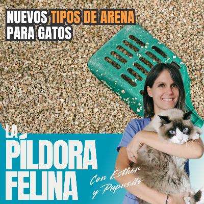 597. Nuevos TIPOS DE ARENA para gatos 597. Nuevos TIPOS DE ARENA para gatos