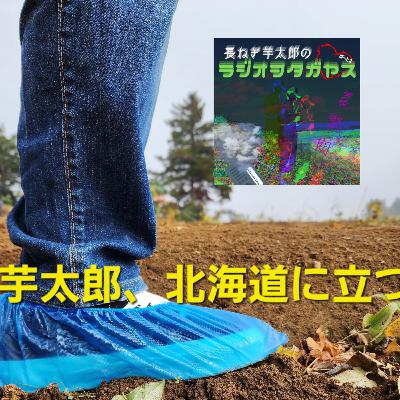 北海道へ行ってきました（感想回）