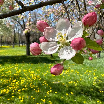 Anlatmadan Anlaşılma Arzusu Anlatmadan Anlaşılma Arzusu