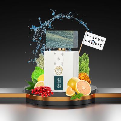 Whispers of the Horizon: The Serene Brilliance Whispers of the Horizon: The Serene Brilliance