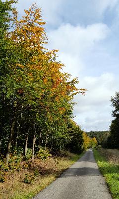 Doch, ja, ich hab den BP-Blues