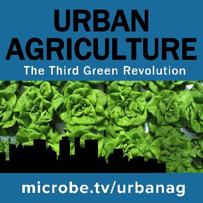 Urban Agriculture 26: Green Sense Farms