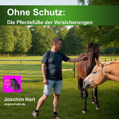 Ohne Schutz - Die Pferdefüße der Versicherungen Ohne Schutz - Die Pferdefüße der Versicherungen