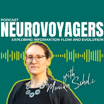 Brains in Miniature: Evolution, Foraging, and Open Science with Monika Scholz