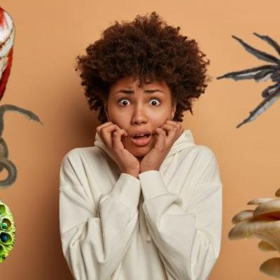 Las Fobias Las Fobias