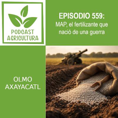 559 MAP, el fertilizante que nació de una guerra 559 MAP, el fertilizante que nació de una guerra