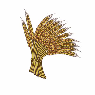 Demasiado caro: Episodio 11 ¿Por qué el trigo está tan caro?