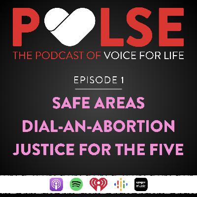'Safe Zones' | Dial-an-Abortion | Justice for the Five 'Safe Zones' | Dial-an-Abortion | Justice for the Five