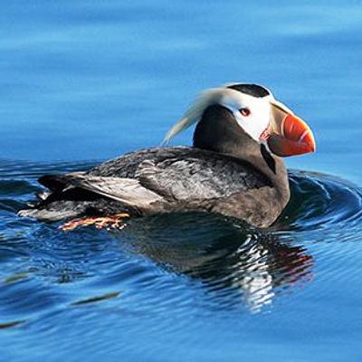 Oregon lawmaker talks major wildlife bill, public lands and controversial waterway permits