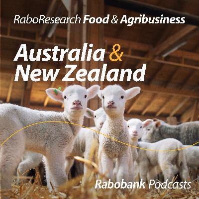 Can the Australian lamb market sustain these prices? Can the Australian lamb market sustain these prices?