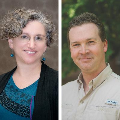 Human Evolution: Uncovering our Origins