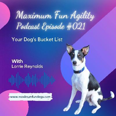 Your Dog's Bucket List Your Dog's Bucket List