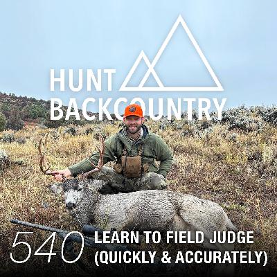 540 | Learn to Field Judge with the HornScore App