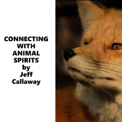FOX SPIRIT GUIDED SHAMANIC JOURNEY