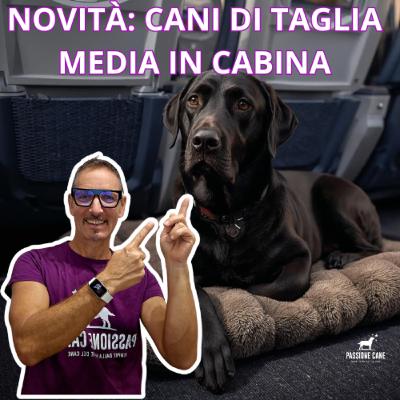 Ep.35 NOVITÀ: CANI DI TAGLIA MEDIA IN CABINA A BORDO DI AEREO