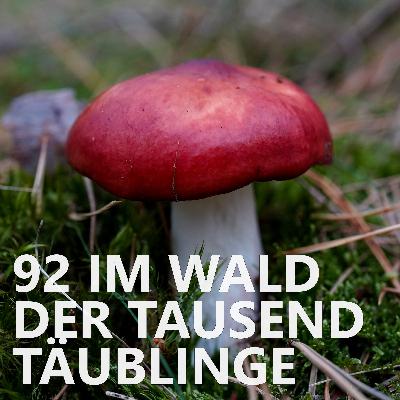 #92 Im Wald der tausend Täublinge