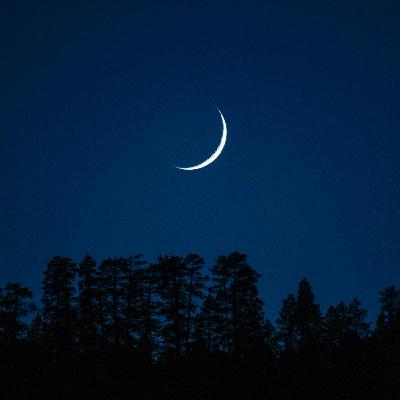 Mindfulness for Sleep (night & rain sounds)