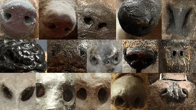 Episode 90 – Whiffs of Wisdom: Exploring Smell, Scientific Writing & Teaching