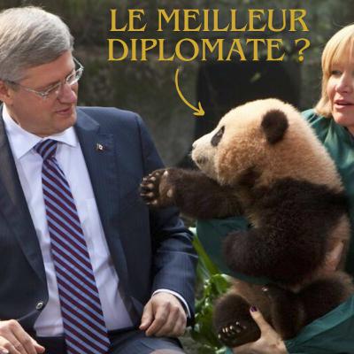 L’arme ultime de la Chine : le Panda