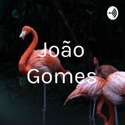 João Gomes mais uma jóia!