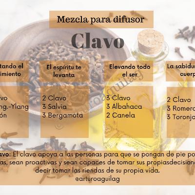 Clavo “El aceite de los límites”