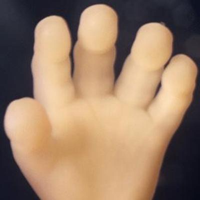 Huckster Live at the Knockout SF Too Many Hands 01JUN2019