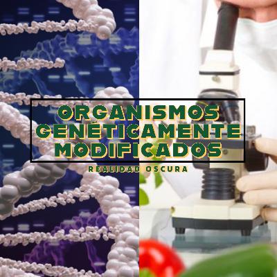 Organismo genéticamente modificado (Genetically modified organism)