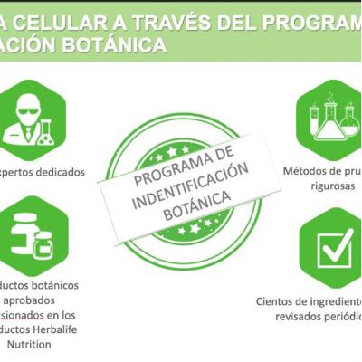 Nutrición para una vida saludable Nutrición para una vida saludable