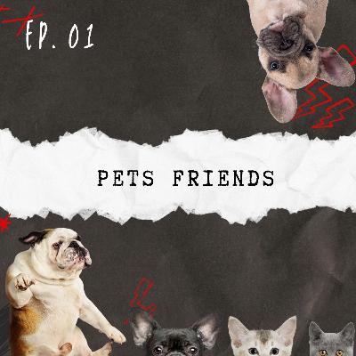 Tenencia Responsable: ¡Lo que DEBES saber si buscas un compañero!