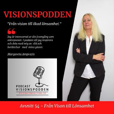 Ávsnitt 54 - Från vision och affärsidé till att nå ut