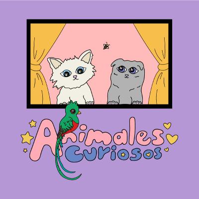 EP7〖𝑩𝑹𝑨𝑰𝑵 𝑷𝑰𝑪𝑲𝑰𝑵𝑮𝑺 𝑽𝚰〗: LA AUTENTICIDAD COMO ESTANDARTE ft Abigail Ávila EP7〖𝑩𝑹𝑨𝑰𝑵 𝑷𝑰𝑪𝑲𝑰𝑵𝑮𝑺 𝑽𝚰〗: LA AUTENTICIDAD COMO ESTANDARTE ft Abigail Ávila
