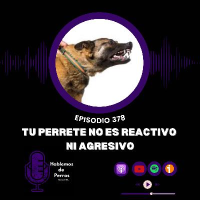 EP#378: Tu perrete NO es reactivo ni agresivo