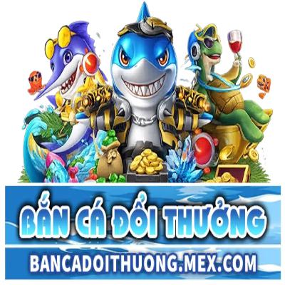 bcdtmexcom