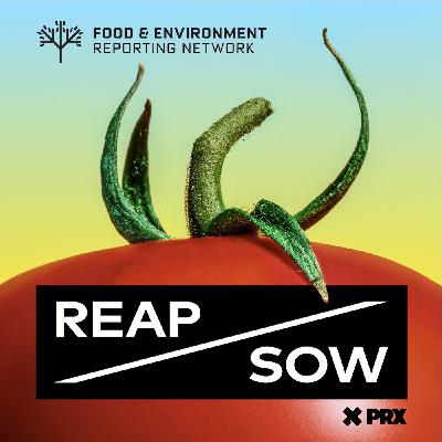 A conversation about fighting food waste with Katelan Cunningham