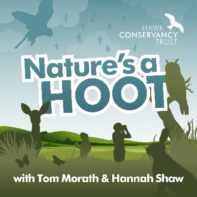 How to (actually) help our planet with Emma Brisdion