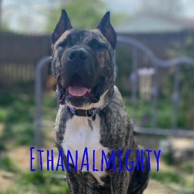 Sharon Miller and Iiken