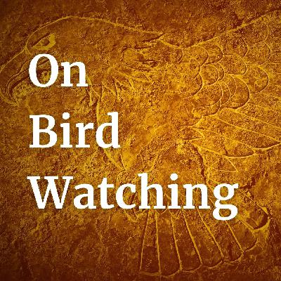 On Bird Watching
