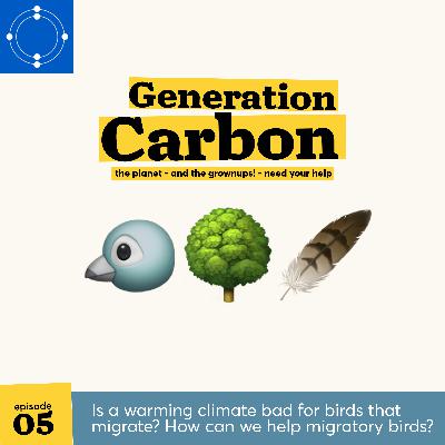 Is a warming climate bad for birds that migrate? How can we help migratory birds?