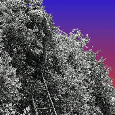 What Next | Trump’s Attack on Visas