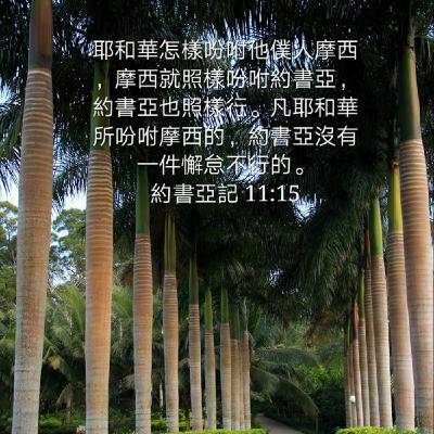 约书亚记11:1-15 (20年9月6日读经分享)