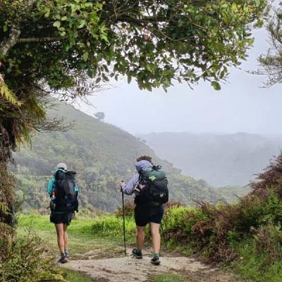 テ・アラロアday41 【悲報】トンガリロが燃えています。